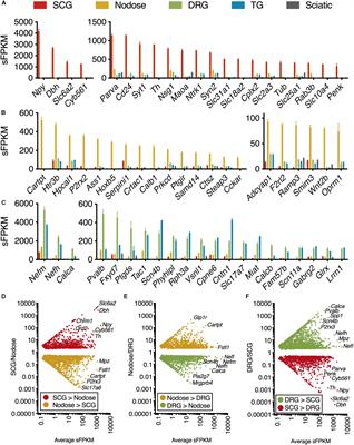 Comparative Analysis of Dorsal Root, Nodose and Sympathetic Ganglia for the Development of New Analgesics